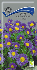Семена Астра альпийская Голубая цв/п 0,04 г Поиск